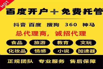 短视频平台的SEM推广实践与效果